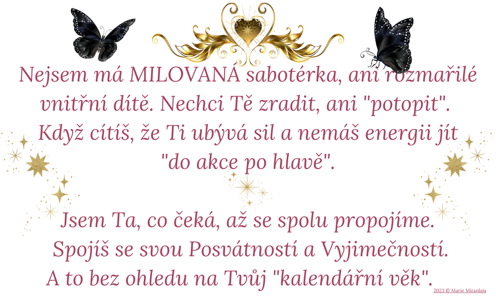 Zve Te k obradnosti a ritualnosti 1024 × 612 px 4